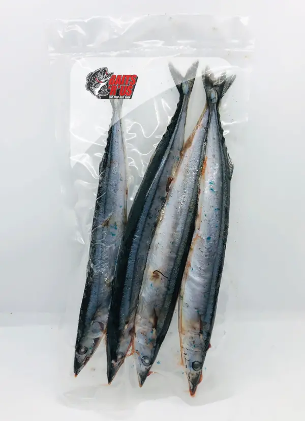Pacific Saury (Blueys) – 4–5 Small Specimens Per Bag