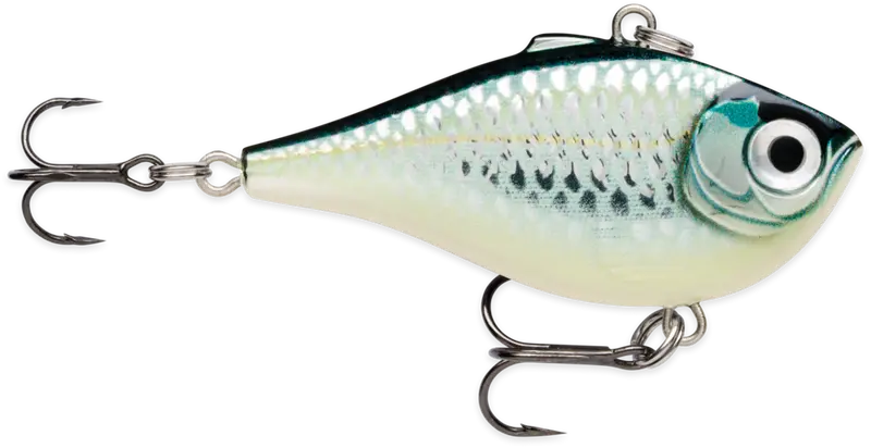 Rapala Rippin’ Rap Hard Bait – Baby Aspius Pattern