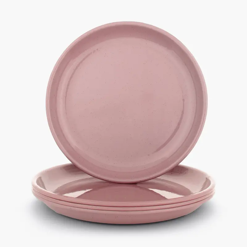 Rolled Edge Enamelware Rustic Plate Assortment (Set 4)