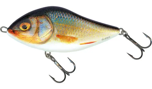 Salmo Slider 10cm Sinking Lure – Real Roach
